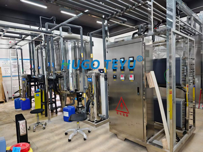 10噸每小時(shí)超純水設(shè)備-(6)